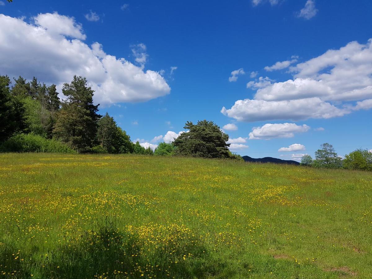 Hoellenbergblick Spirkelbach Екстер'єр фото